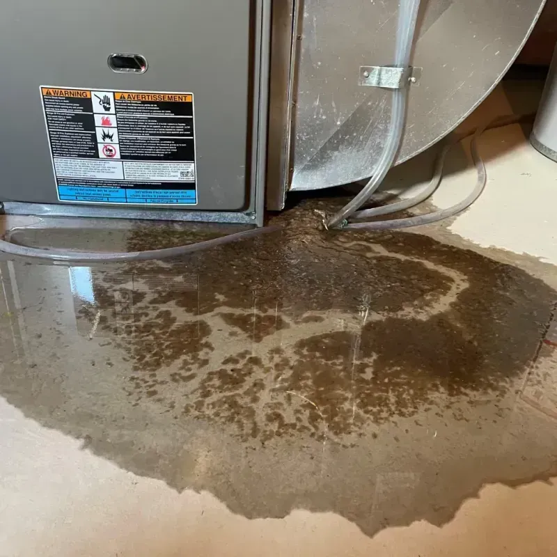 Appliance Leak Cleanup in Fredericksburg, VA